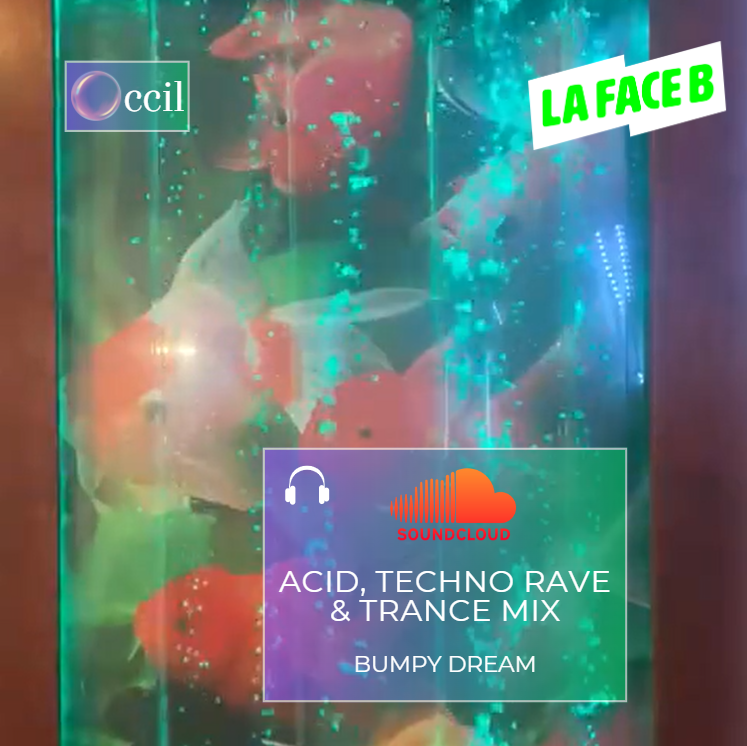 ccil for La Face B - Bumpy Dream [MAY 2024] (Acid, Techno Rave & Trance Mix)