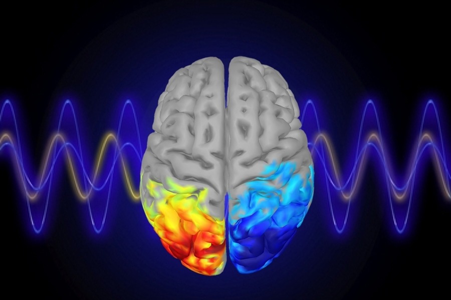 Controlling attention with brain waves