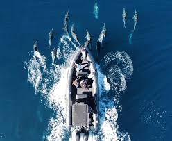 Things to Do in Oceanside, CA | Top Activities & Attractions