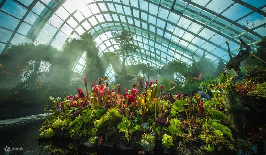 Cloud Forest ticket