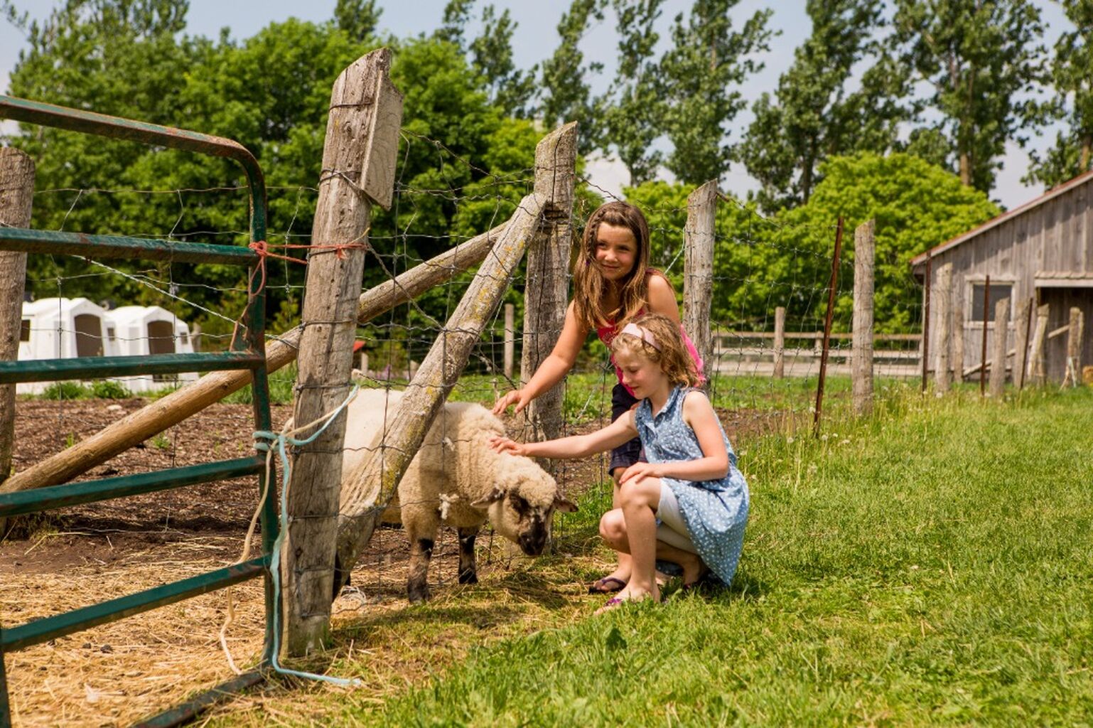 Spring Rural Romp Wellington County