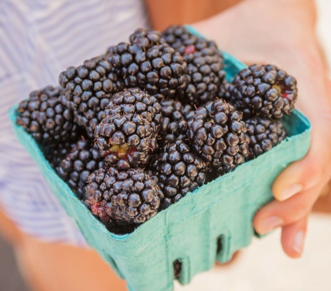 How to Buy, Store, and Use Berries - Mom's Kitchen Handbook
