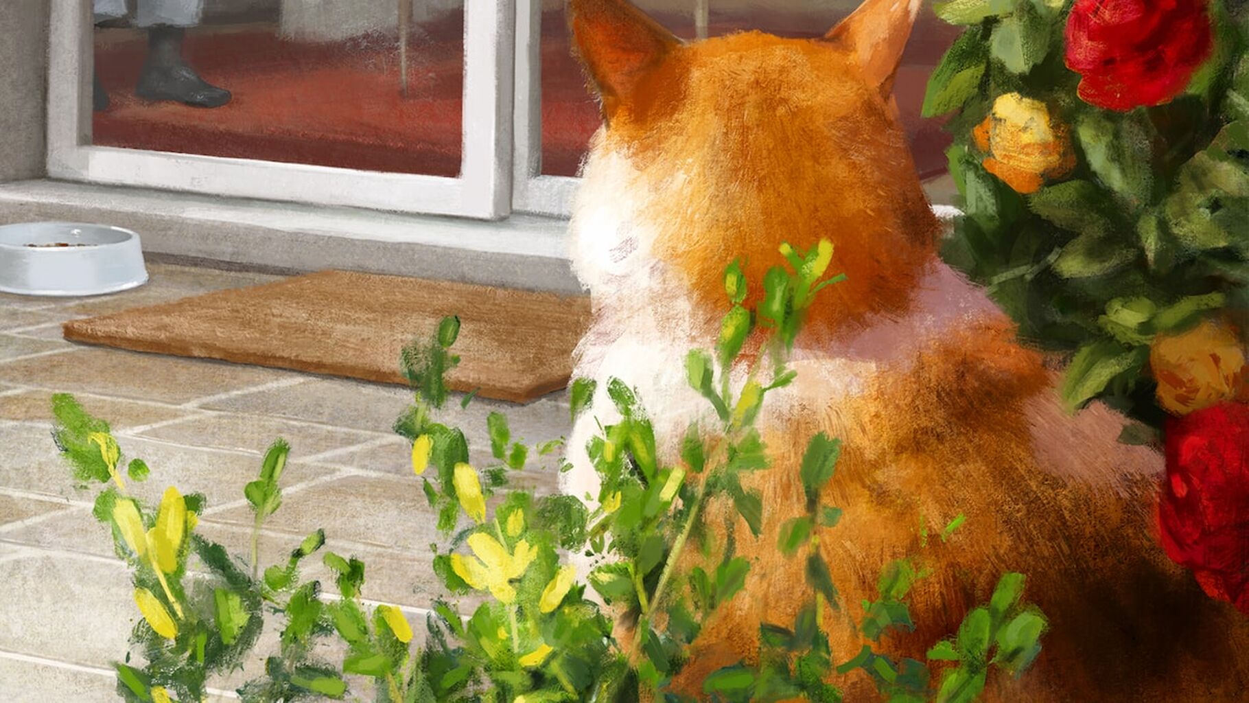 Streit um Schnurrli? Ein Kater auf Abwegen