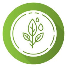 Holistic Wellness and Household Products