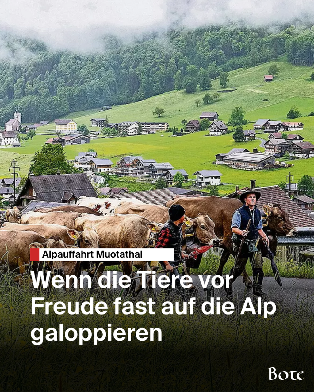  alpaufzug