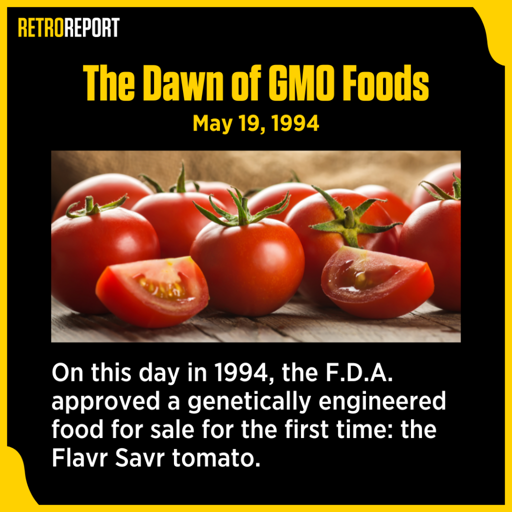 GMO Food Fears and the First Test Tube Tomato
