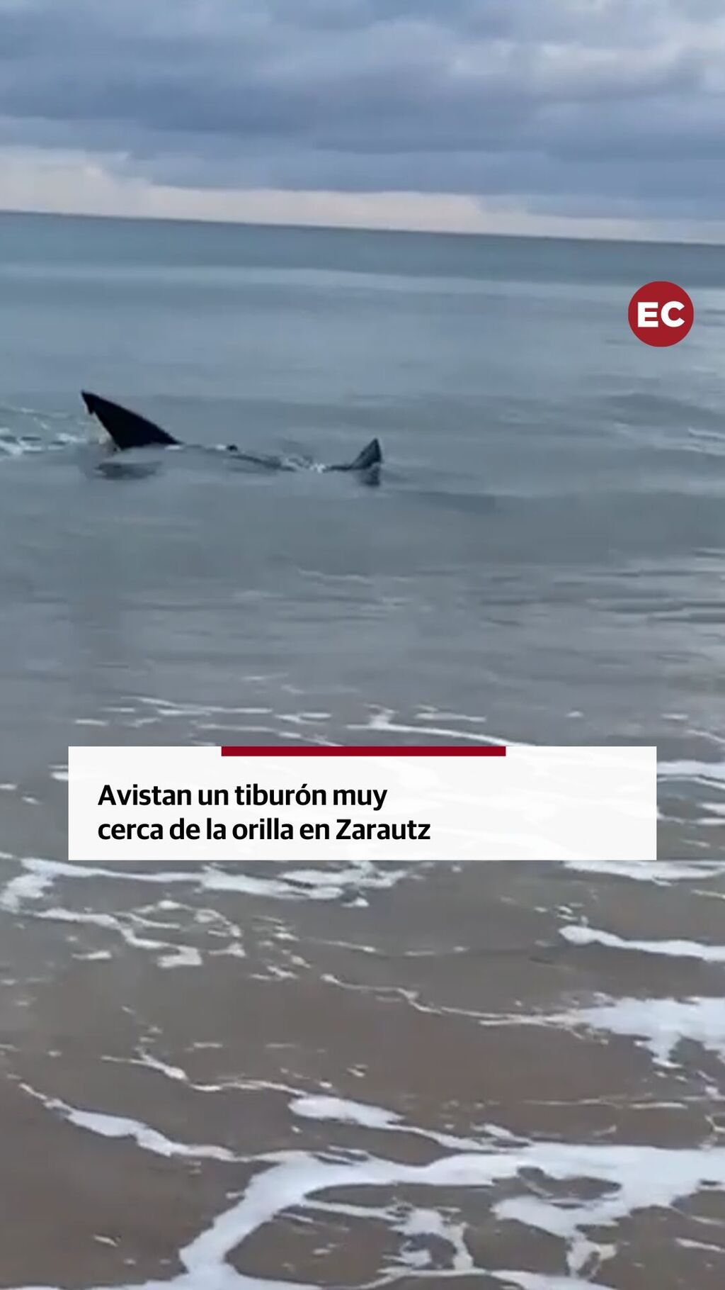 El tibur&oacute;n que ha avistado Zigor, el hijo de Karlos Argui&ntilde;ano, muy cerca de la orilla en Zarautz