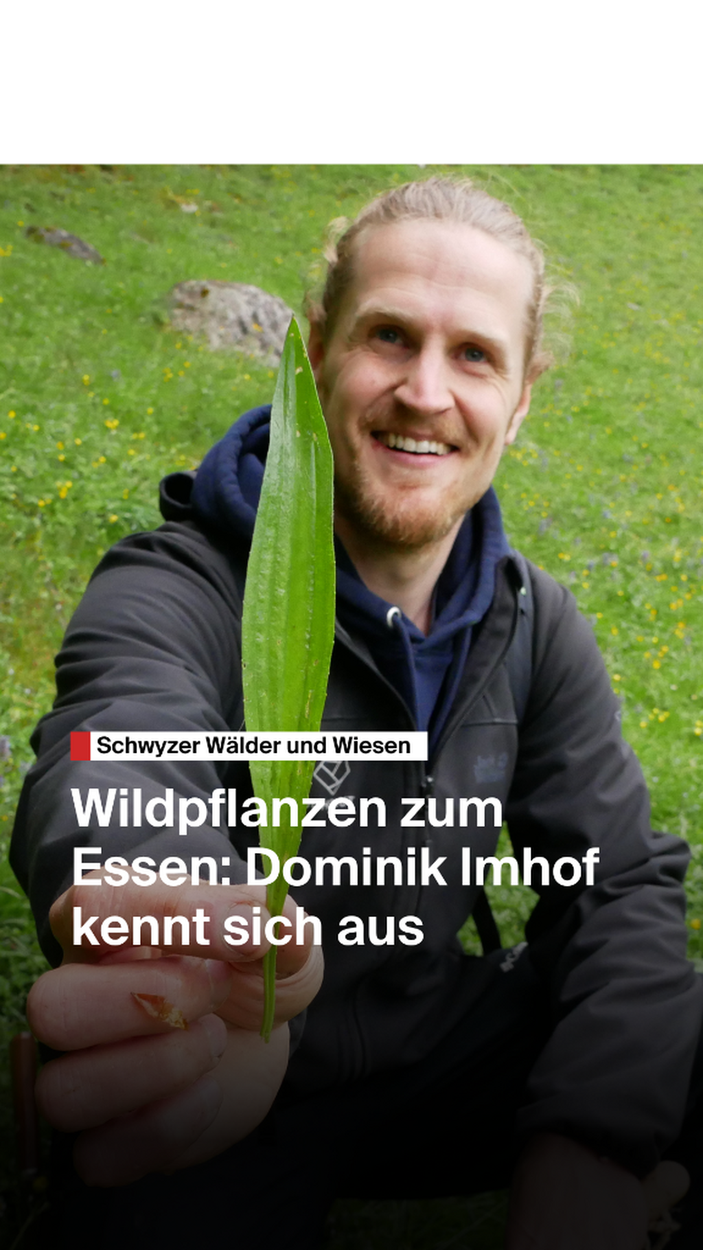 wildpflanzen