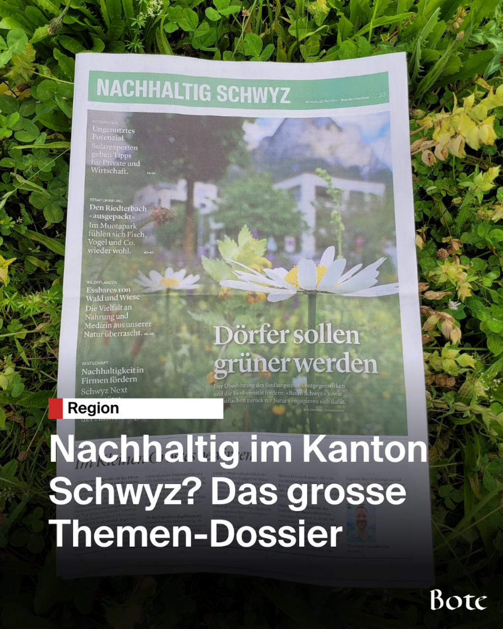 nachhaltig beilage