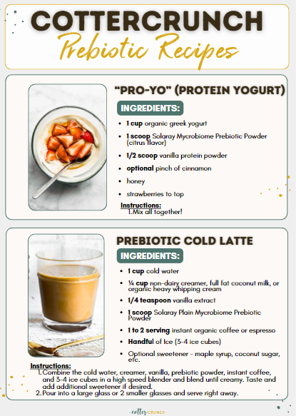 Prebiotic Recipes