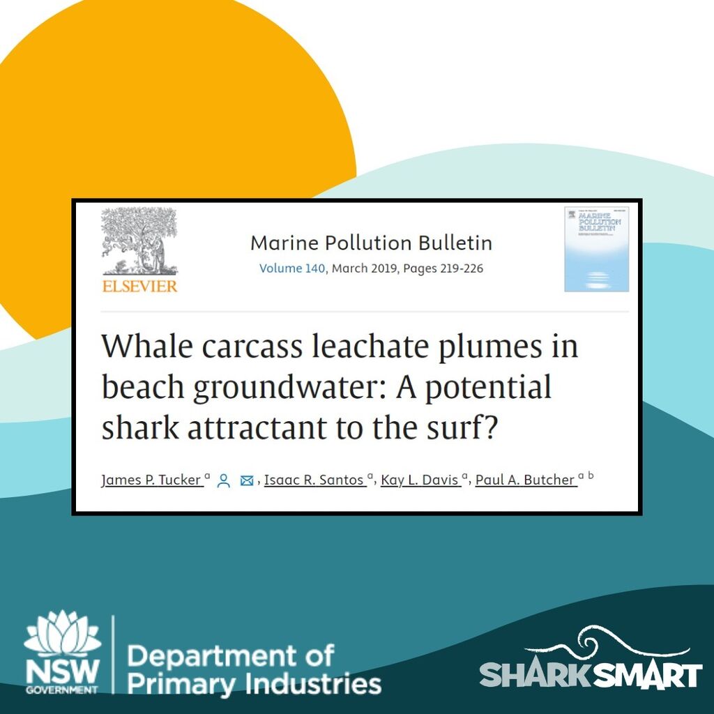 Whale Carcass Leachate Plumes in Beach Groundwater