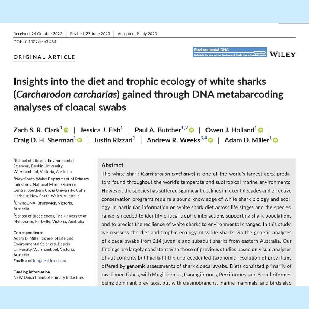 Insights into the diet and trophic ecology of white sharks