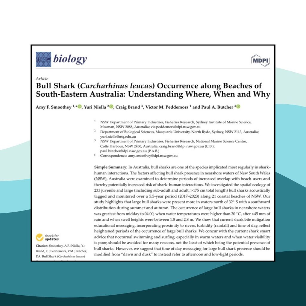 Bull Shark (Carcharhinus leucas) Occurrence along Beaches of South-Eastern Australia: Understanding Where, When and Why