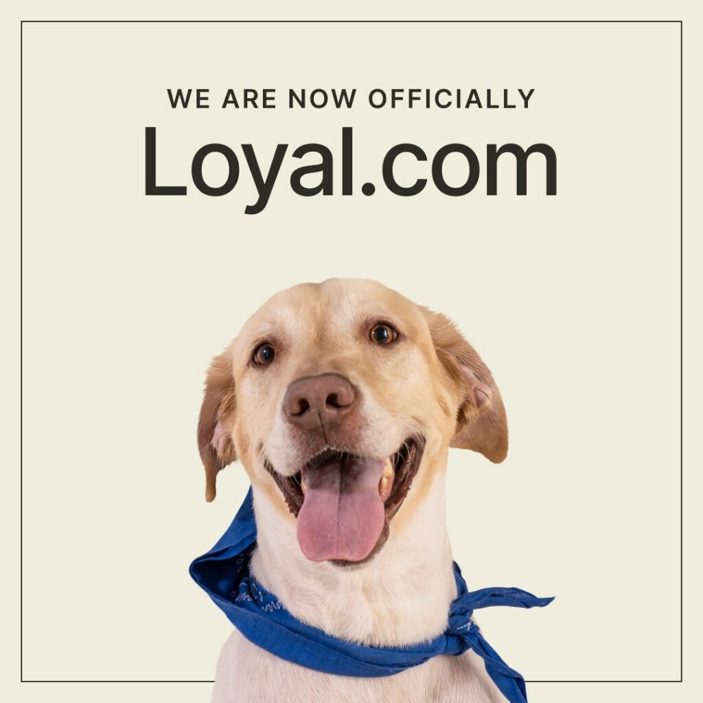 Check out our new website domain!