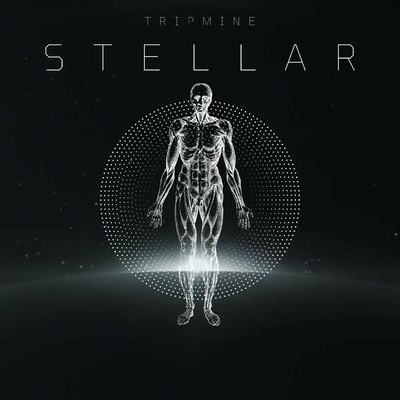 "Stellar"