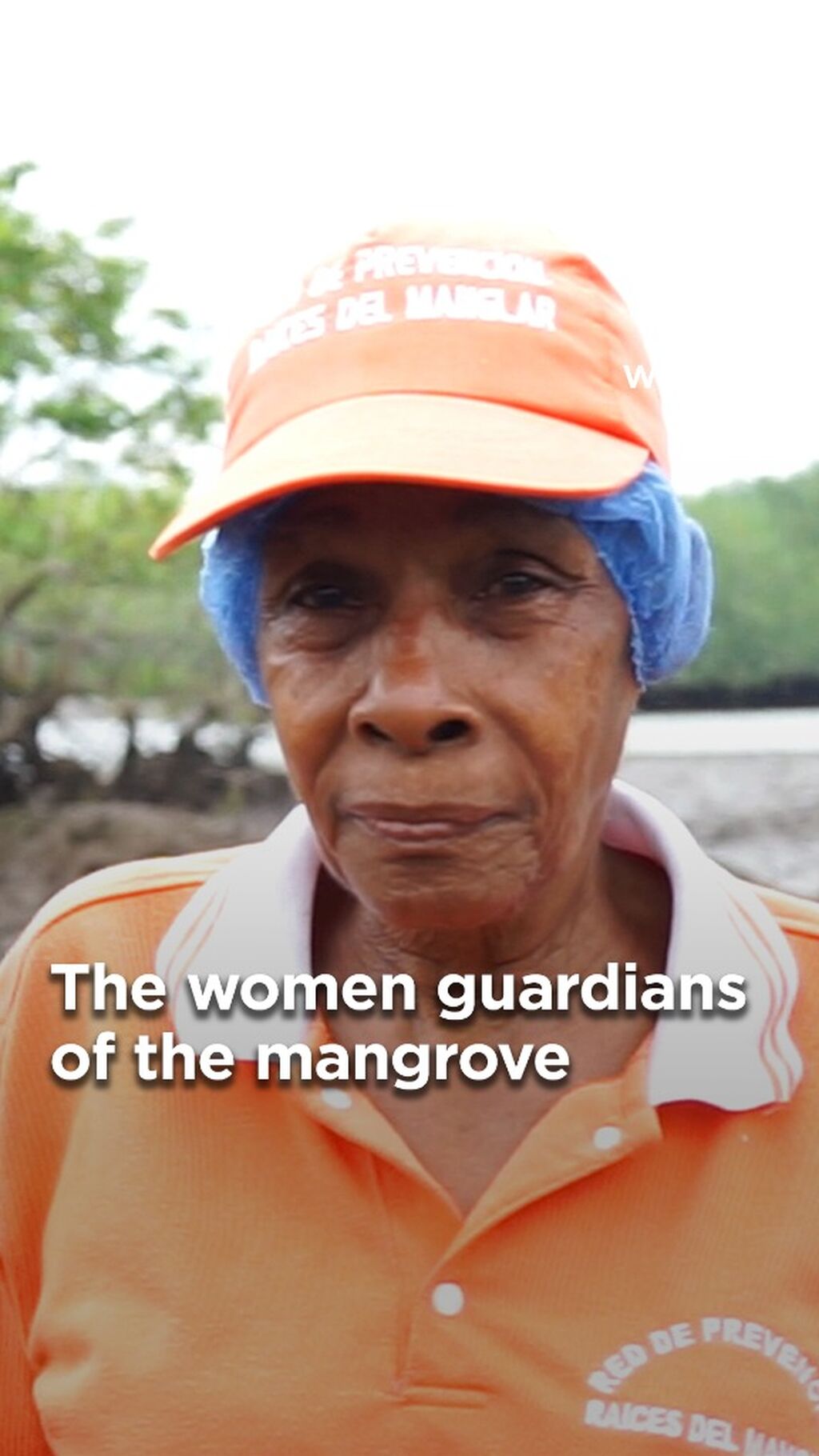 In the Pacific coast of Colombia, guardians of the mangrove sow seeds of change