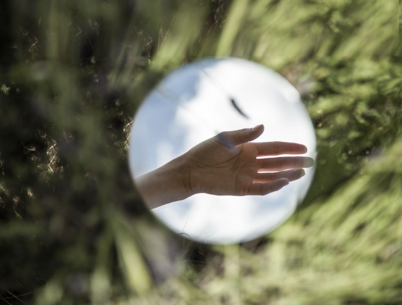 Environmental Trauma from a Chinese Medicine Perspective 