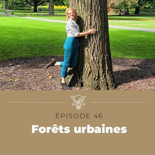 Qu&rsquo;est-ce qu&rsquo;une for&ecirc;t urbaine?