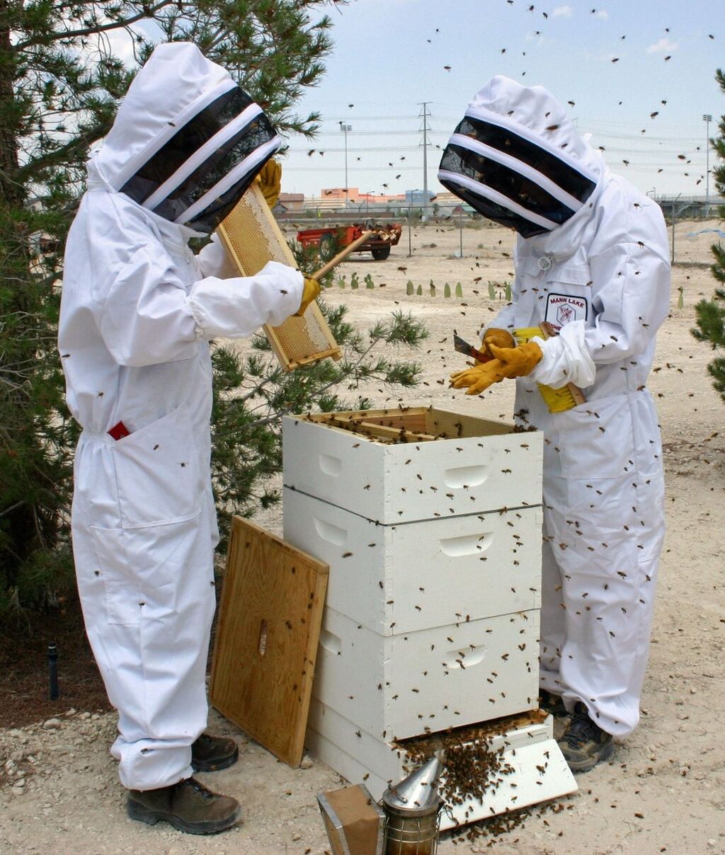 Feast On Certified: The Bee SHop Inc