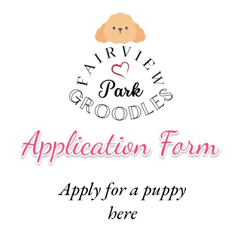 Fairview Park Waiting List Application