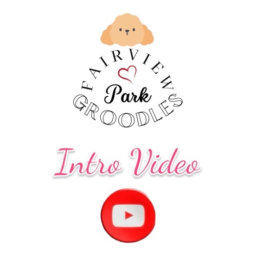 Fairview Park Groodles Intro Video
