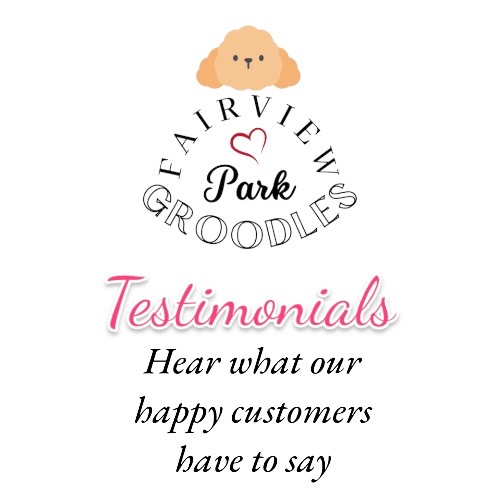 Customer Testimonials
