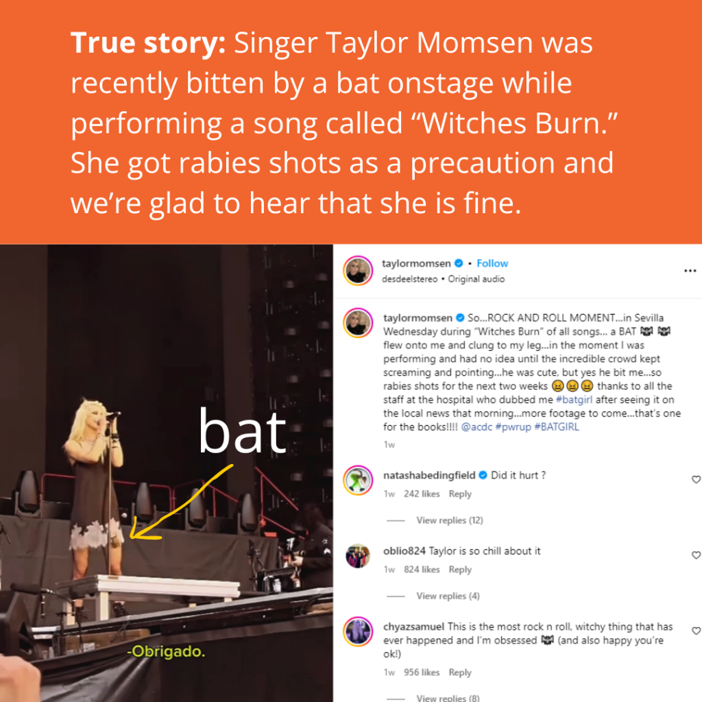 Bat encounters