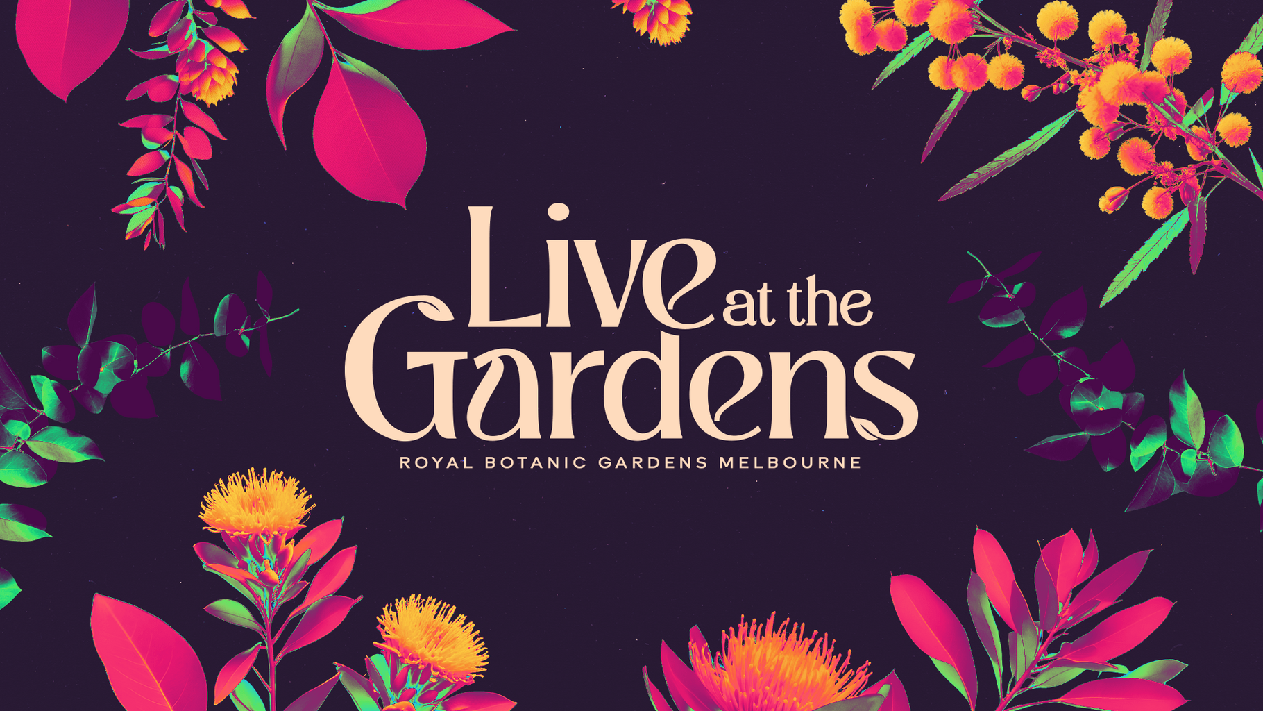 🎵 Live at the Gardens