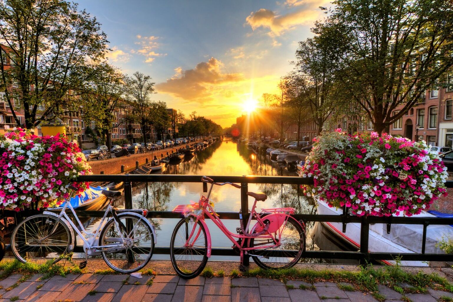 Feel the Heartbeat of Amsterdam: Classic City Walking Tour