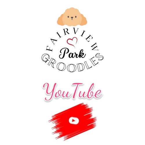 YouTube Channel