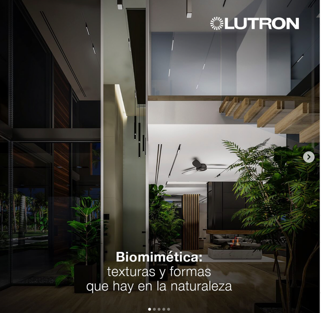Naturaleza interiores