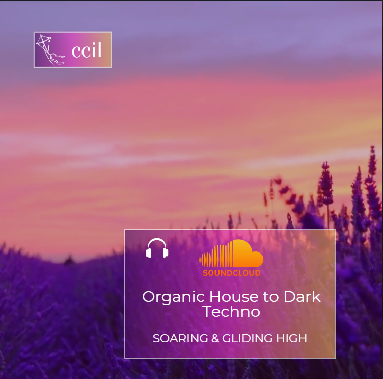 Soaring & gliding high [MAY 2024] (Organic House to Dark Techno)