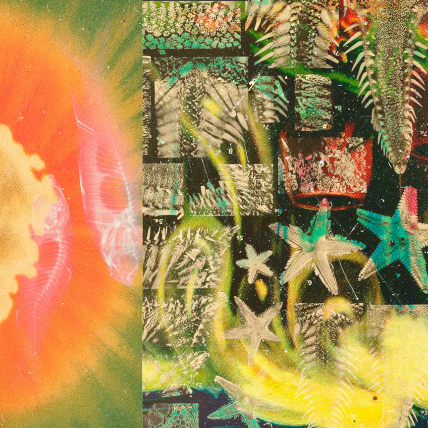 (Buy/Listen) Nap Eyes: Demons