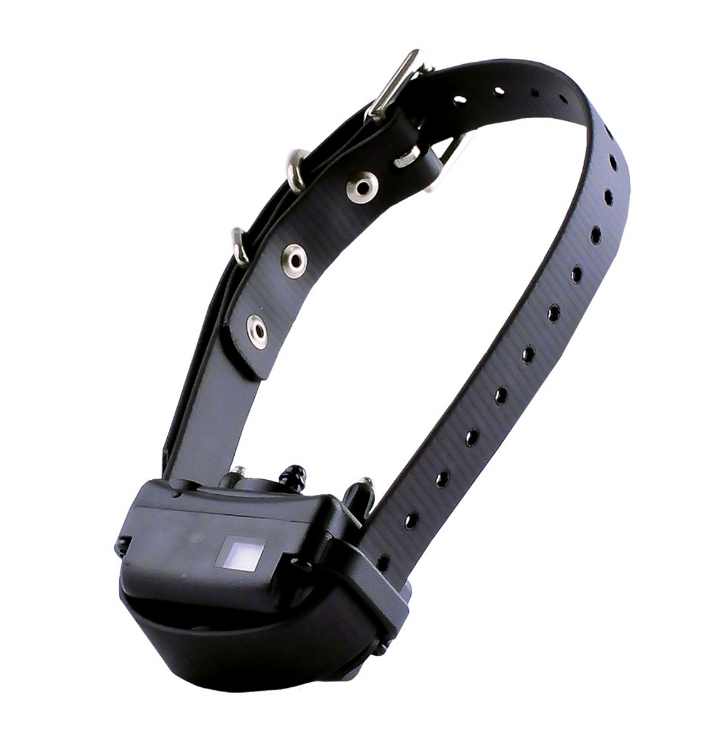 KEEP SHOCK COLLARS ILLEGAL 