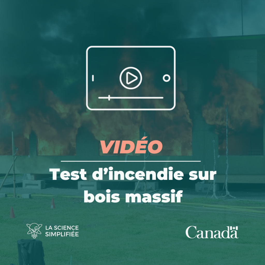 Est-ce que le bois massif est r&eacute;sistant au feu? (Petites tranches de science)