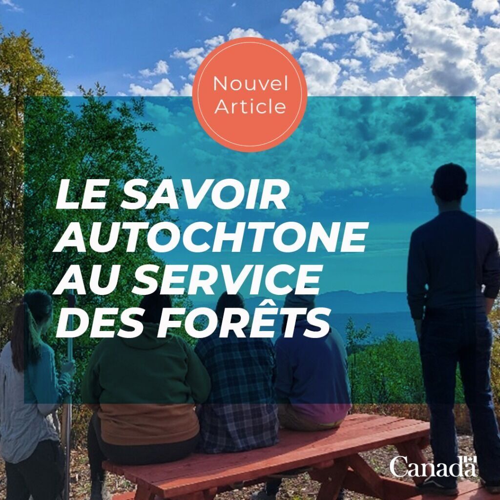 Le savoir autochtone au service des for&ecirc;ts