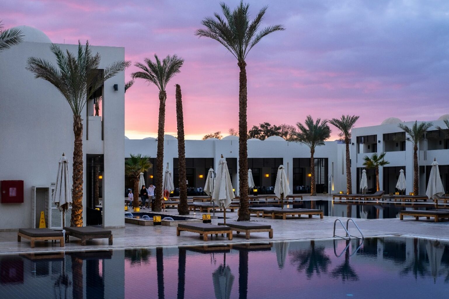 Book Hotels 🏨