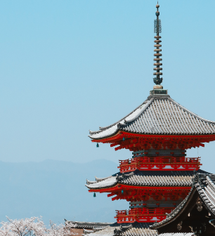 Chasing the cherry blossom bloom in Japan