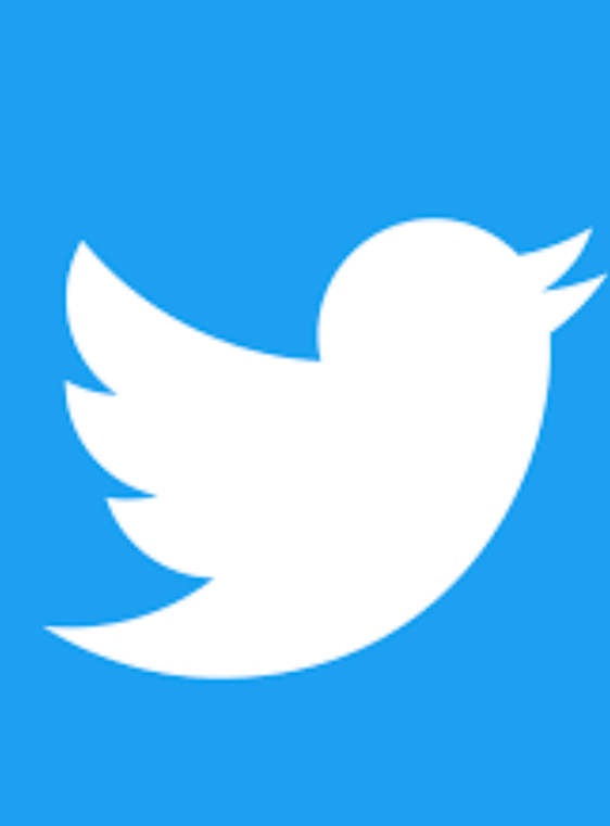 TWITTER PAGE
