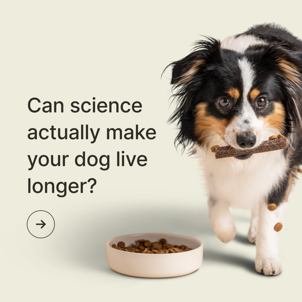 Can science actually make your dog live longer? &mdash; the Purina study