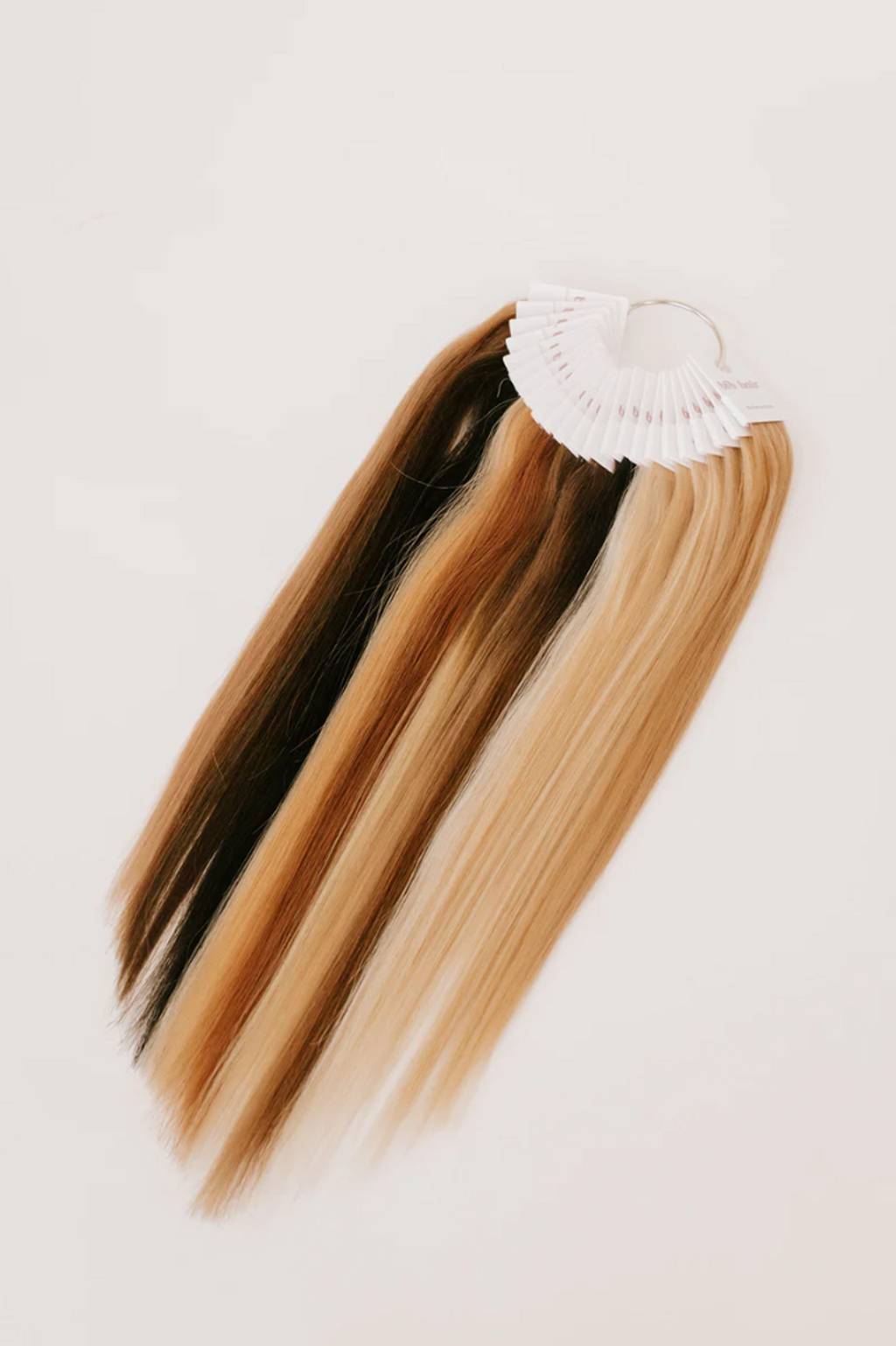 Hair Extension Rental Program