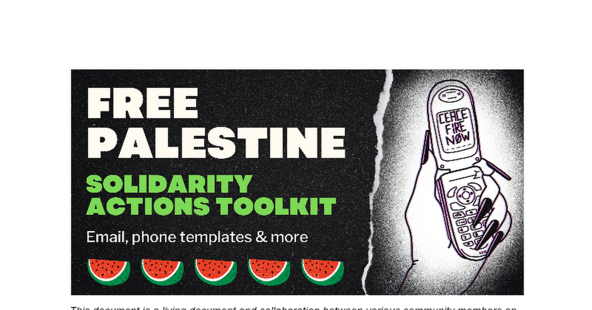 Palestine Solidarity Action Toolkit - Templates to Contact Your Reps!!