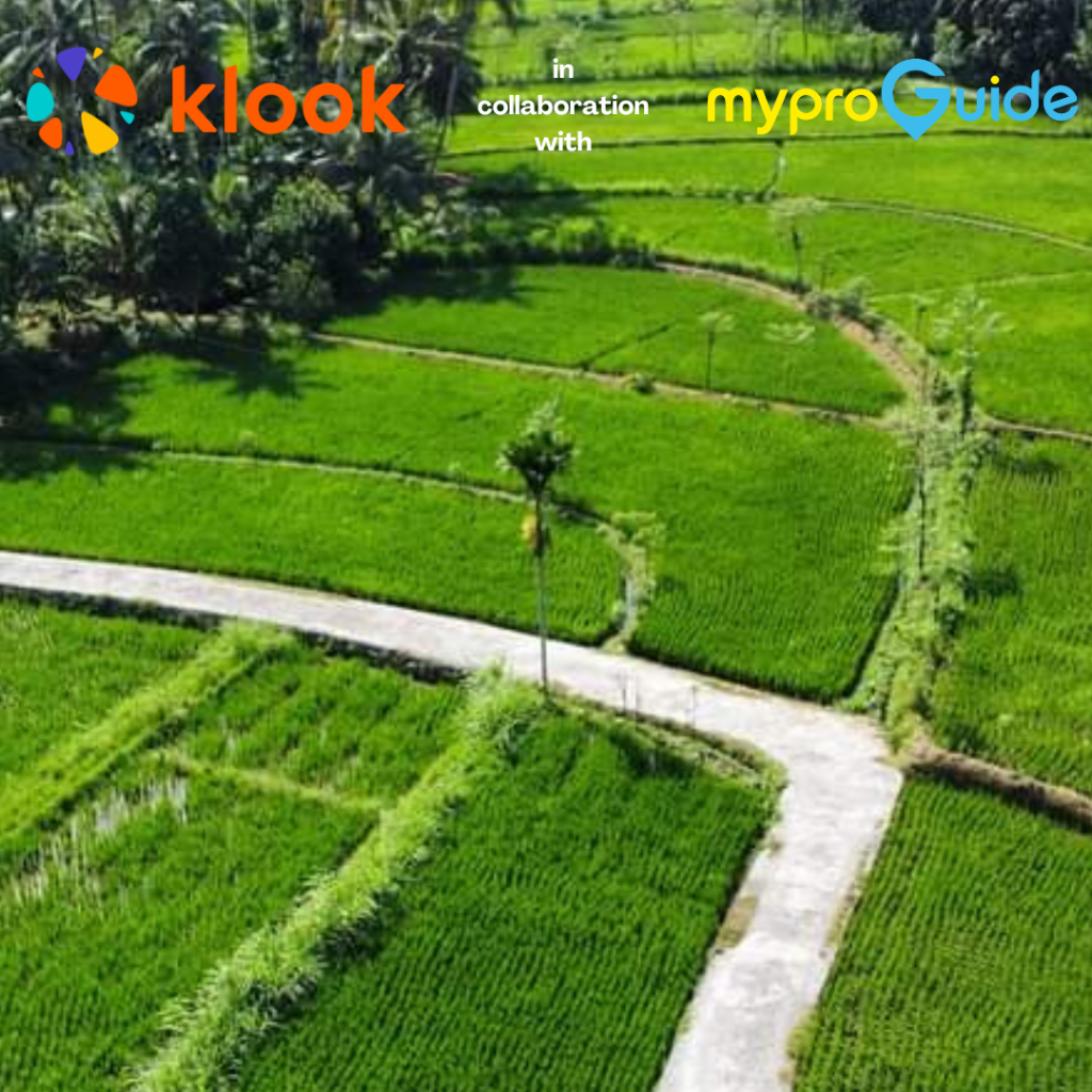 Lombok Local Village Immersion Tour