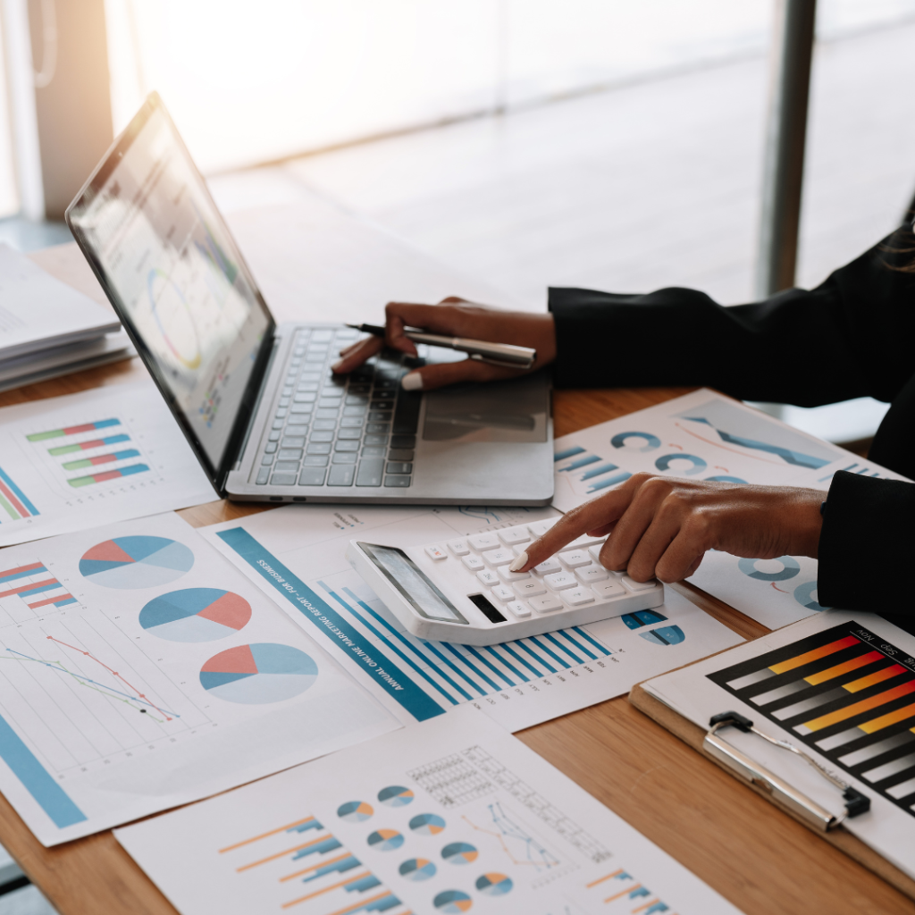 How Important Are Local Economic Fundamentals?