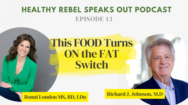 Healthy Rebels Podcast with Bonni London