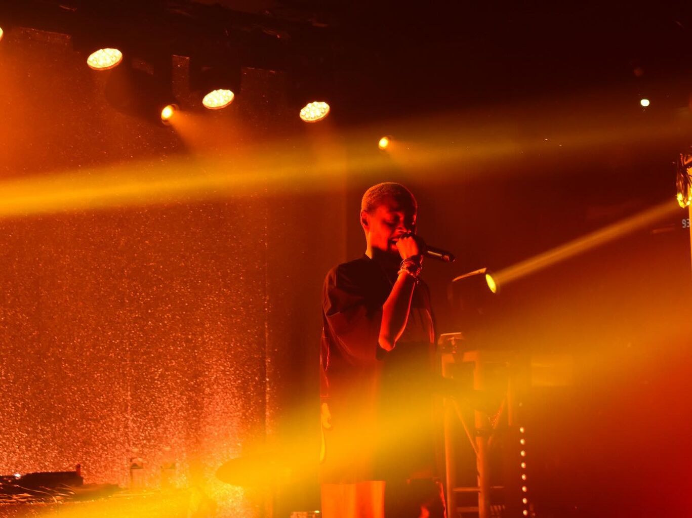 Concert Review: Danny Brown