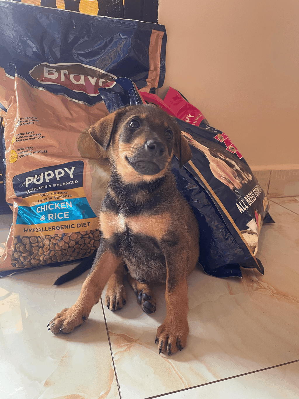 Our Amazon Wishlist