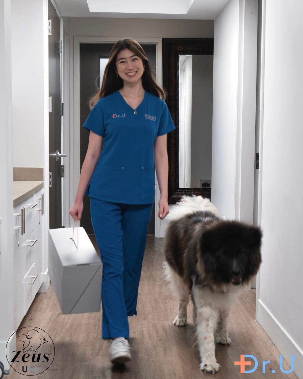 The Dr.UGraft&reg; Zeus System