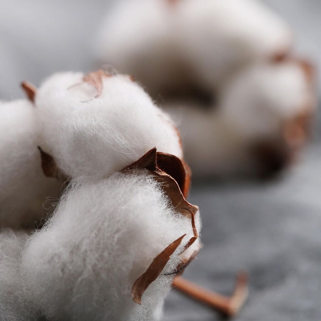 COTTON