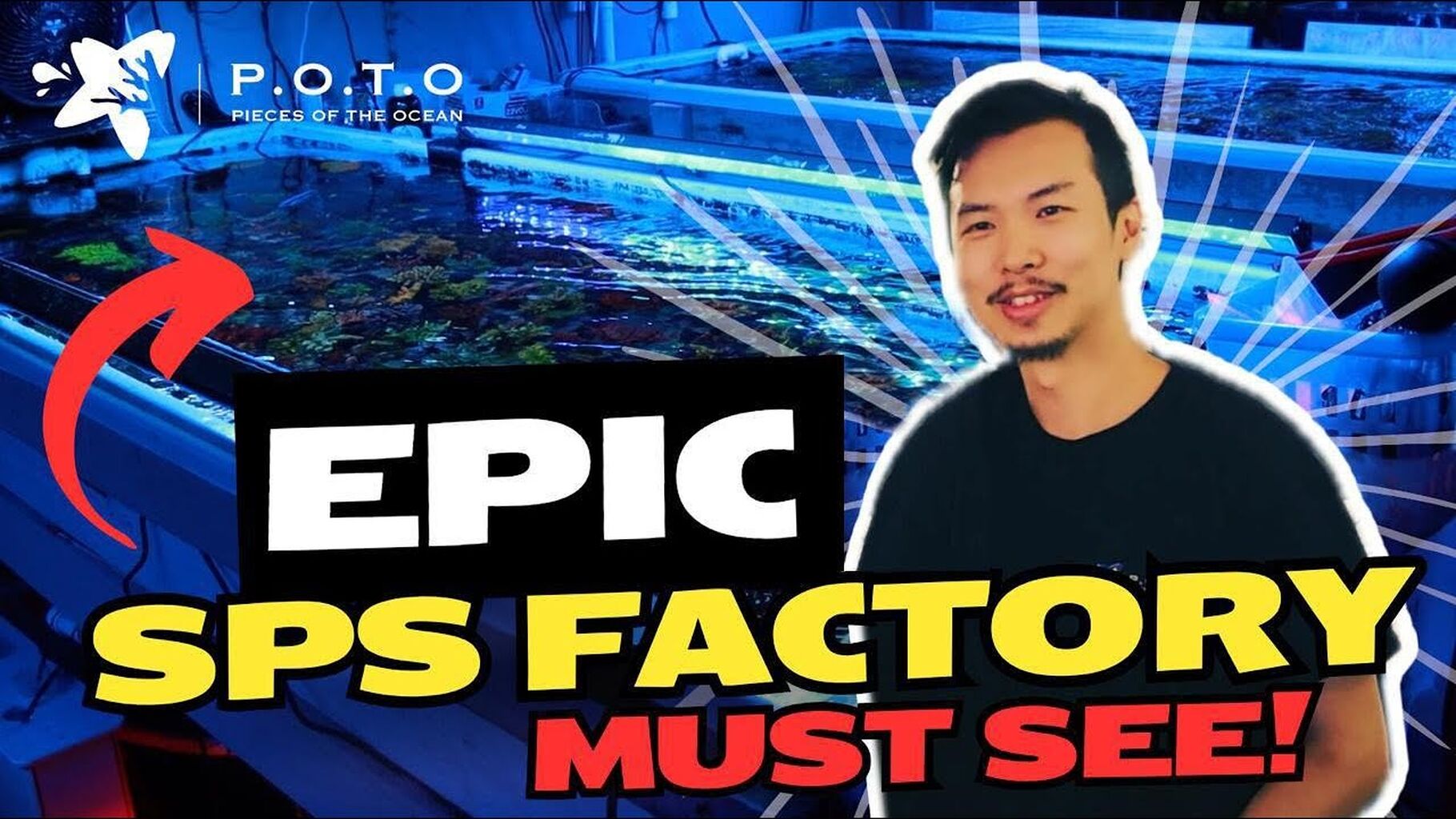 Exploring POTO's SPS Coral Factory: Every SPS LOVER's Dream!
